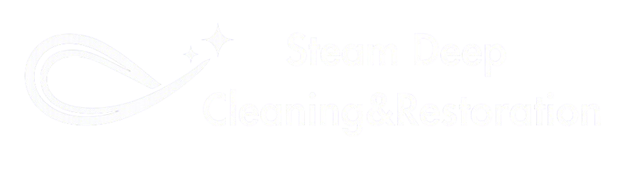 Steam Deep Cleaning logo